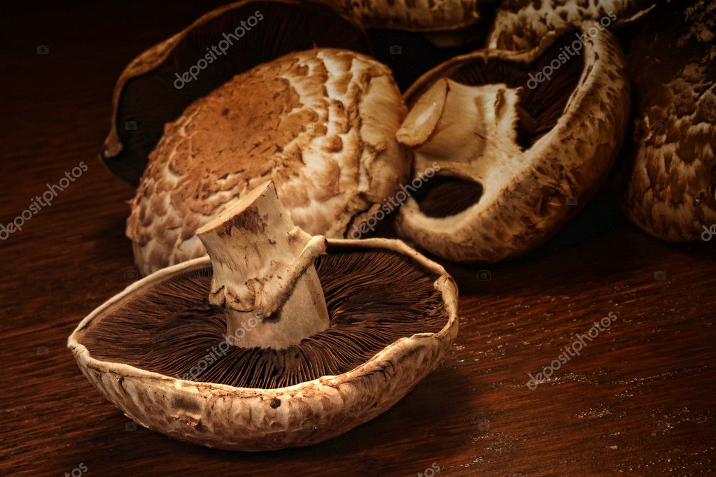 Fresh portobello mushrooms Stock Photo by ©Sandralise 4340510