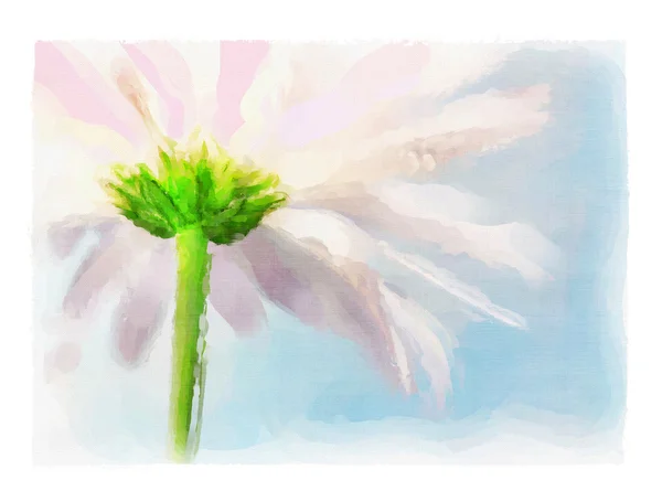 Digital Akvarell Pink Daisy Mot Blå Sommarhimmel — Stockfoto