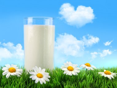 Glass of milk in the grass with daisies and blue sky clipart