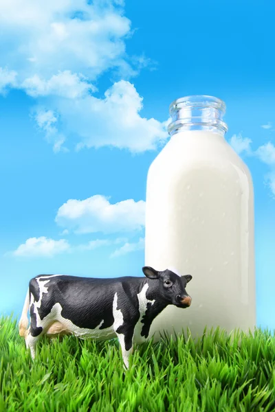 Milk bottle in the grass — Stock Photo, Image