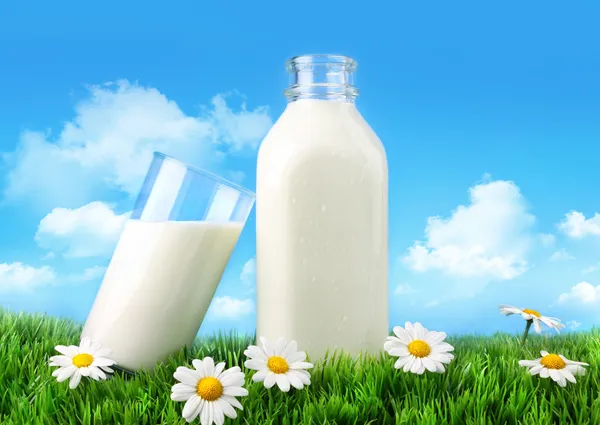 Flasche Und Glas Milch Mit Gras Gänseblümchen Und Himmel — Stockfoto