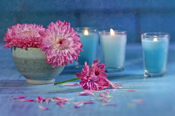 Fiori di crisantemo con candele — Foto Stock