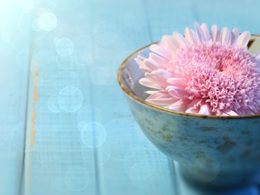Close up of chrysanthemum flower floating in bowl of water clipart