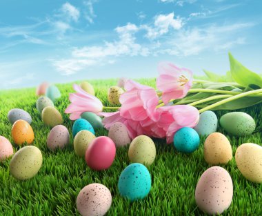 Easter eggs with pink tulips on grass clipart