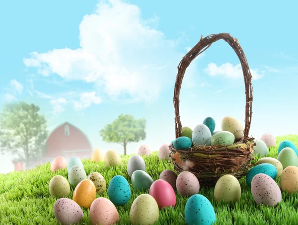 Colorful easter eggs in field of grass — Stock Photo, Image