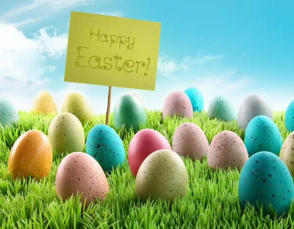 Renkli Paskalya yumurta ile bir alanı işaret — Stok fotoğraf