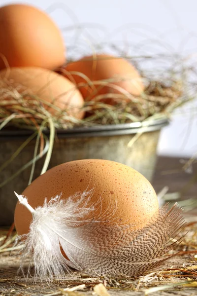 Vértes barna tojás, szalma — Stock Fotó