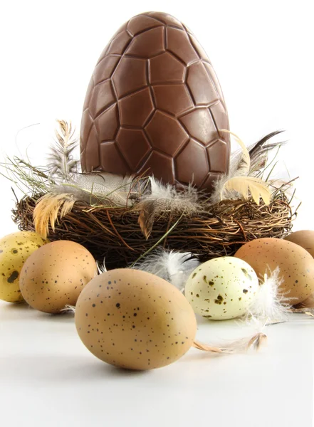 Huevo de Pascua de chocolate grande en nido con plumas —  Fotos de Stock