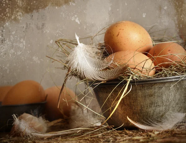 Hnědé skvrnité vejce ve staré plechová mísa — Stock fotografie