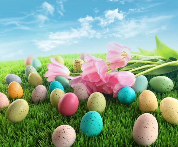ピンクのチューリップの芝生の上でイースターの卵 — ストック写真