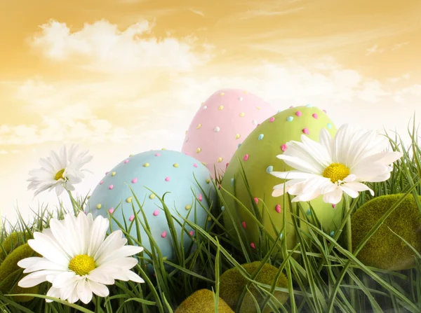 Closeup de ovos de páscoa decorados na grama com flores — Fotografia de Stock