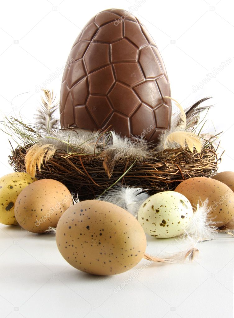 Big chocolate easter egg in nest with feathers