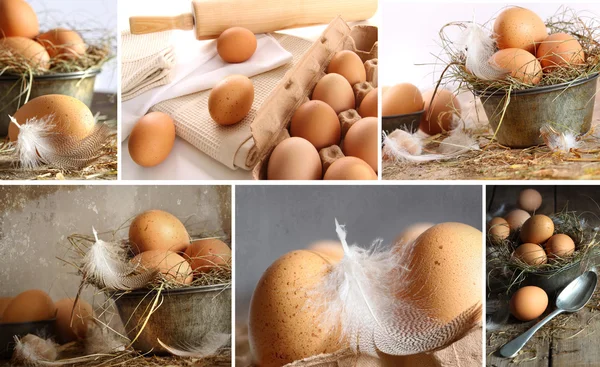 Collage of brown eggs images — Stock Photo, Image