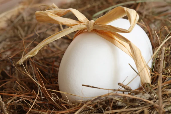 Fiyonklu hasır üzerinde beyaz yumurta — Stok fotoğraf