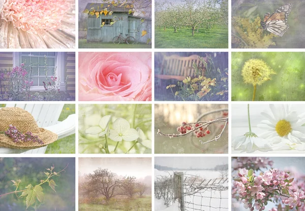 Collage de imágenes estacionales con aspecto vintage —  Fotos de Stock