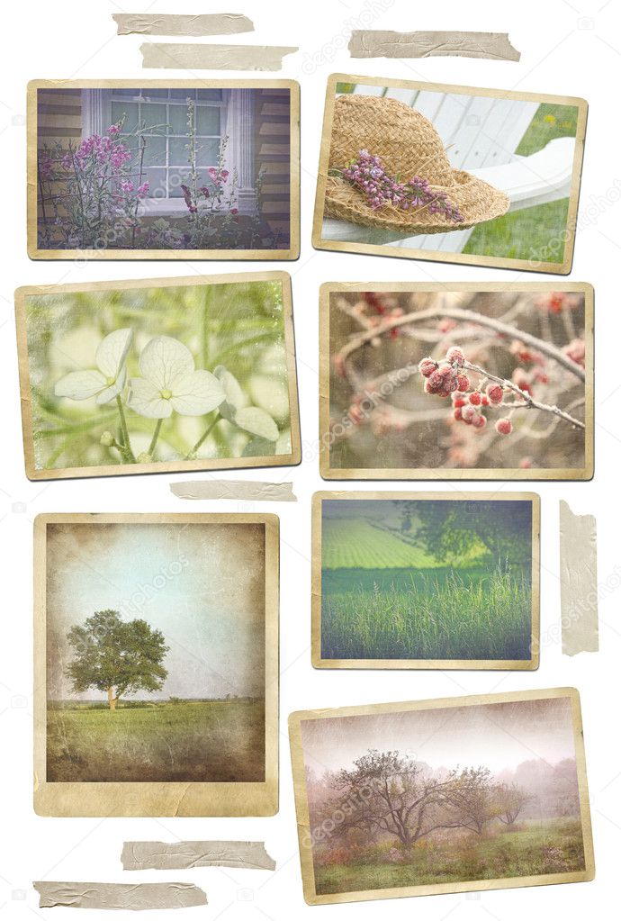 Collection of seasonal photos in vintage frames