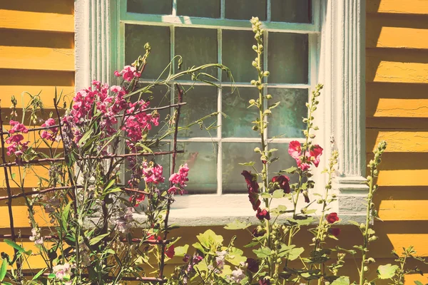 stock image Old cottage with summer garden