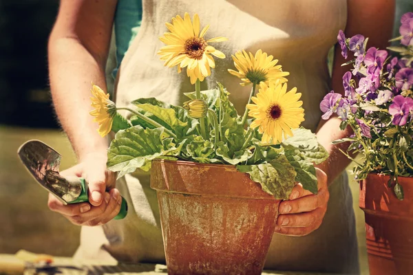 Frau macht Gartenarbeit im Vintage-Look — Stockfoto