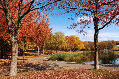 Park çok renkli ağaçlar, mavi gökyüzü ve Montreal mount royal, bir göl ile düşmek.