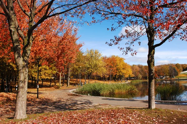 Herbst Park Mit Sehr Bunten Bäumen Blauem Himmel Und Einem — Stockfoto
