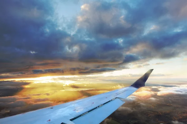 stock image Golden Flight