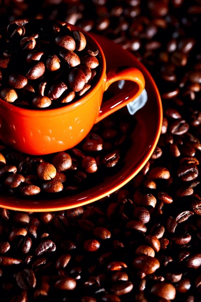 Kaffeetasse Bohnen — Stockfoto
