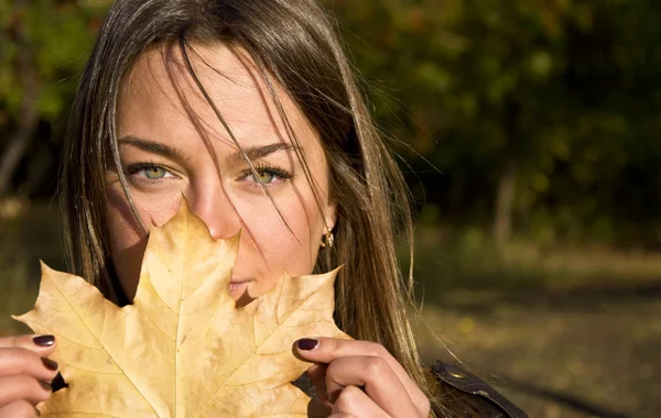 stock image Woman holding a maple leaf