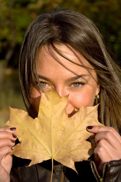 Woman holding a maple leaf Stock Photo