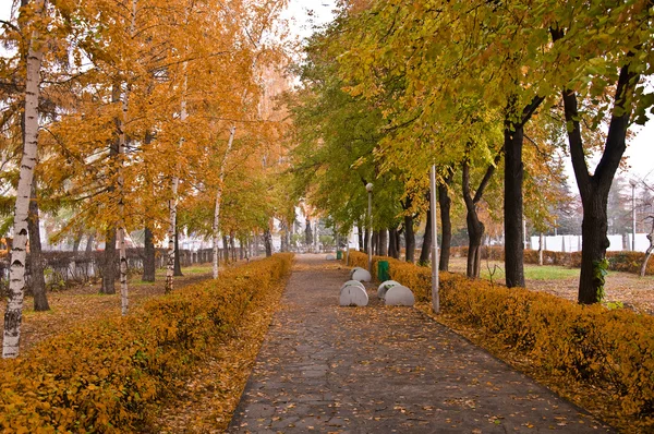 Autumn Park — Stock Photo, Image