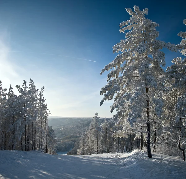 Winter Berglandschap Sneeuw Bedekte Vuren Blauwe Zonnige Hemel — Stockfoto