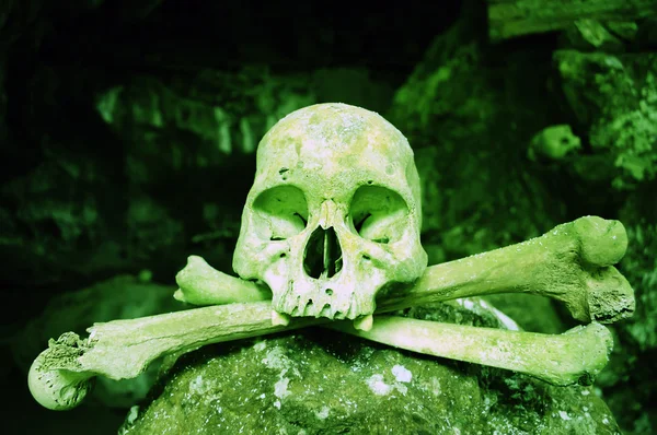 有毒な頭蓋骨 — ストック写真