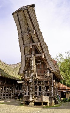 Toraja traditional village clipart