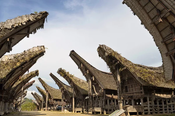Toraja villaggio tradizionale — Foto Stock