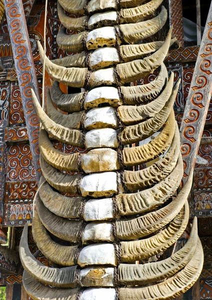 Toraja Traditional horn house — Stock Photo, Image