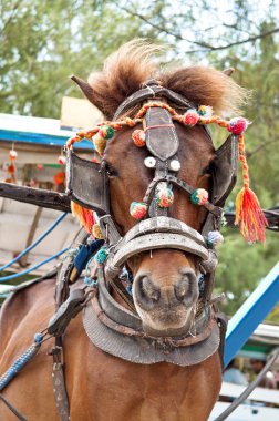 Transport horse clipart