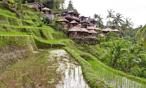 インドネシア農村部の村 — ストック写真