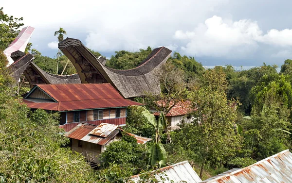 Toraja традиційної села — стокове фото