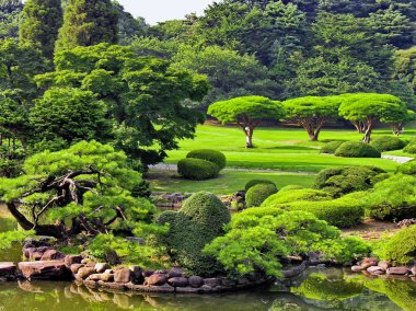 beautiful japanese green park in summer time clipart