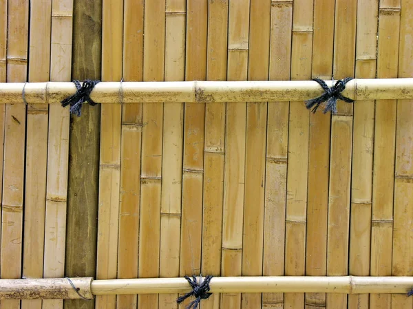 Interessant Verweerde Bamboe Achtergrondmateriaal — Stockfoto