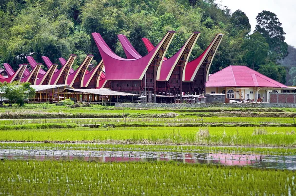 Toraja village — Stockfoto