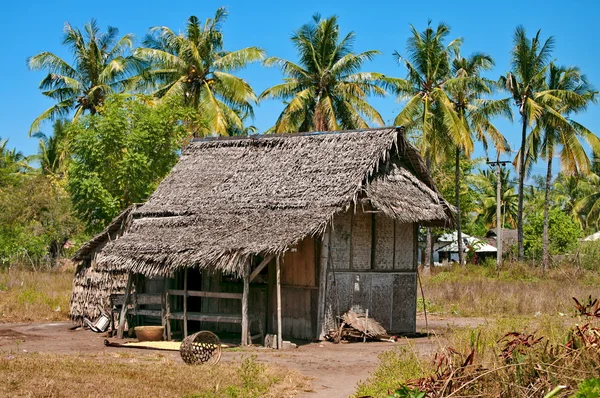 Landsbygdens hut — Stockfoto