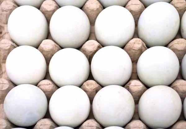 stock image Dozen eggs