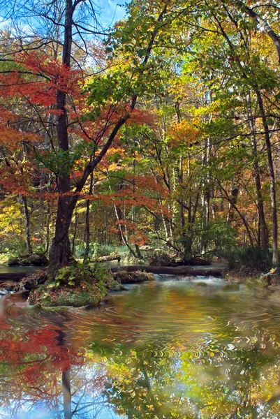 Fall of the season with beautiful river — Stock Photo, Image