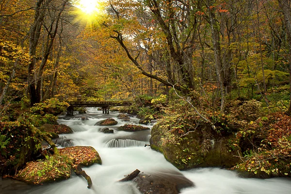 季节的秋天有着美丽的河流 — 图库照片