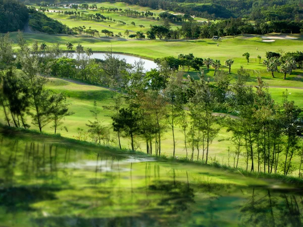 Grüner Golfplatz mit grüner Wasserreflexion — Stockfoto