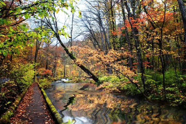 季节的秋天有着美丽的河流 — 图库照片