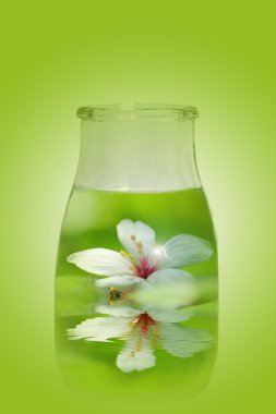 Flower in the bottle for background or others purpose use clipart