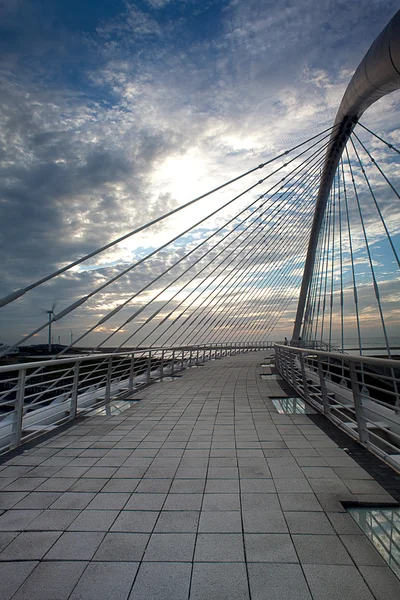 Tramonto del ponte dell'arpa per uso di scopo dello sfondo o di altri — Foto Stock