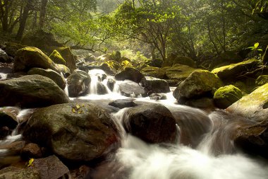 Cascade falls over old plum river with rocks clipart