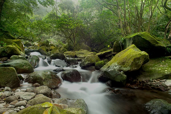 Cascada cae sobre viejo río ciruela con rocas — Foto de Stock